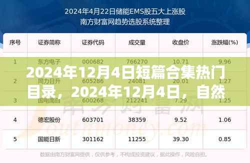 自然美景探索之旅,启程寻找内心的宁静与平和——热门短篇合集目录(2024年12月4日)