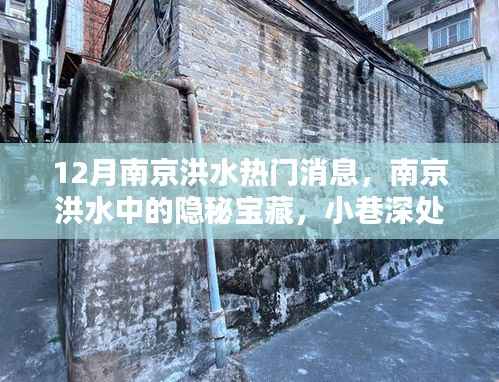 南京洪水背后的隐秘宝藏,小巷特色小店探秘热门新闻