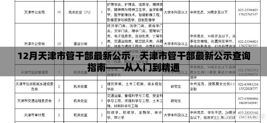 天津市管干部最新公示详解,查询指南与入门精通