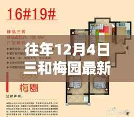 三和梅园历年房价走势揭秘,最新价格探析与个人观点分享