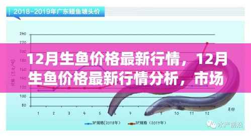 12月生鱼价格最新动态,市场走势分析与多方观点探讨