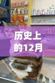 猫咪的奇妙探索之旅,历史、美景与内心的宁静