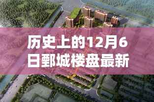 鄄城楼盘温馨开盘日，历史开盘价格回顾与最新篇章的启示