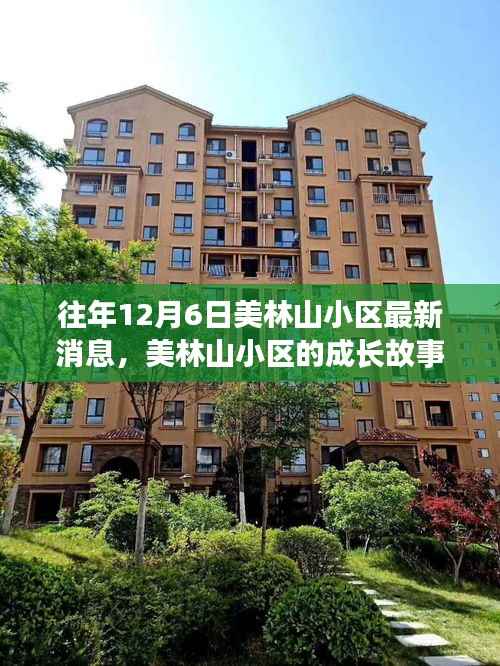 往年12月6日美林山小区最新消息,美林山小区的成长故事,学习变化,自信闪耀,成就未来!
