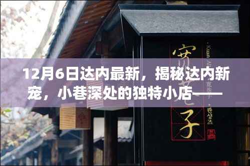 达内最新探访揭秘,小巷深处的独特小店——达内新宠探访之旅(12月6日)