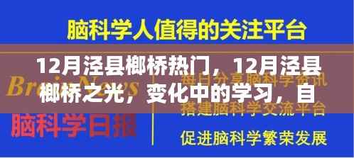 12月泾县榔桥热门,12月泾县榔桥之光,变化中的学习,自信与成就感的源泉
