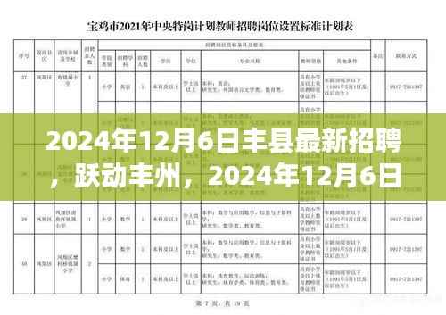 跃动丰州,2024年丰县最新招聘启航,职场学习之旅启程