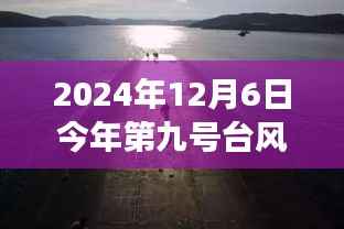台风九号下的美食秘境,探寻巷弄深处的独特风味