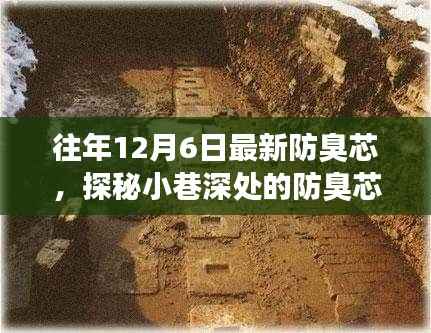 探秘小巷深处隐藏特色小店,揭秘独家防臭芯秘籍与独特魅力