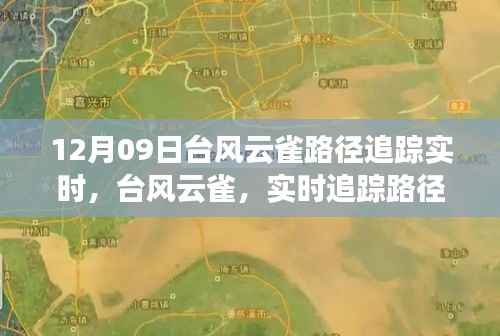 台风云雀最新动态,风云变幻下的实时追踪路径分析(12月09日更新)