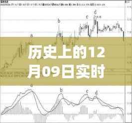 探寻历史股价指标,揭秘12月09日实时股价走势图
