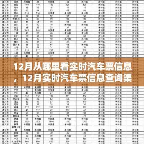 12月汽车票实时信息查询攻略，渠道优劣分析与选择建议
