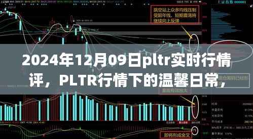PLTR行情下的温馨日常与奇妙冒险,2024年12月09日实时行情评析