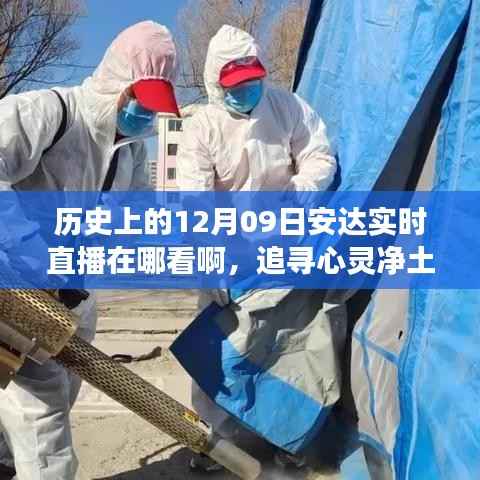 追寻心灵净土,安达直播之旅的自然魔法与历史探寻——历史上的安达直播回顾与实时观看指南