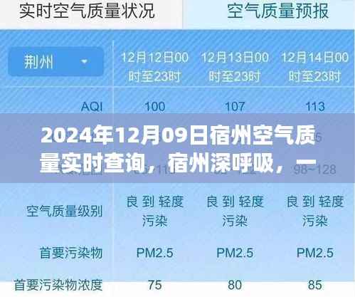 宿州空气质量实时查询,深呼吸心灵净土之旅的奇妙启程(2024年指南)