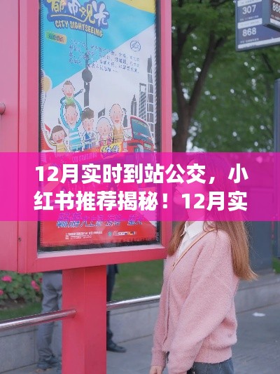 小红书推荐揭秘,12月实时到站公交攻略,轻松出行必备!