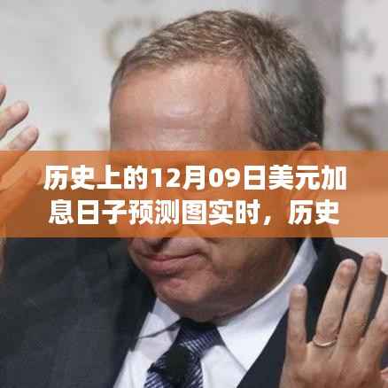 历史上的加息日与自然的呼唤，绿色之旅探寻内心平静与美元加息预测图实时解读