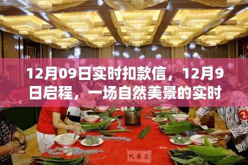 心灵之旅启程,实时扣款信带你解锁自然美景的十二月之旅