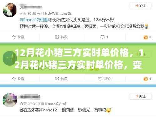 12月花小猪三方实时单价格变动,探索学习之路,培育自信与成就感的源泉