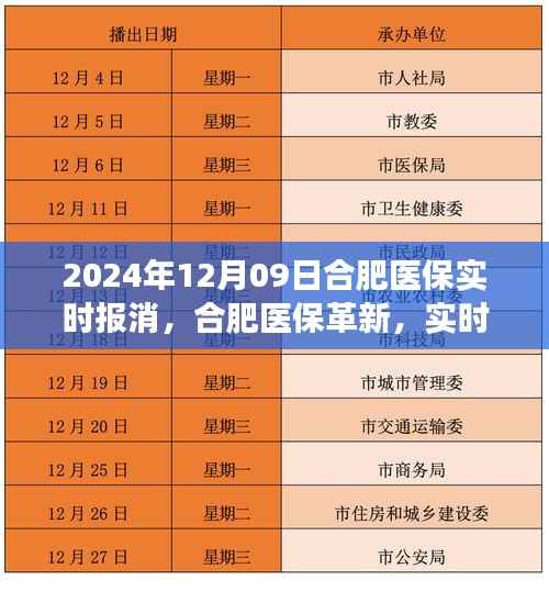 合肥医保革新里程碑,实时报销时代的来临,2024年12月09日的深刻变革