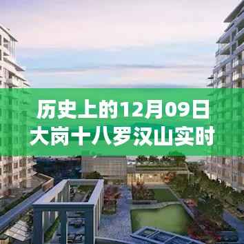 历史上的12月09日大岗十八罗汉山的风景探索纪实,实时风景探索之旅