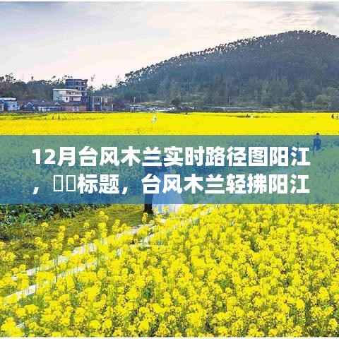 台风木兰轻拂阳江，追寻自然魅力的奇妙旅程