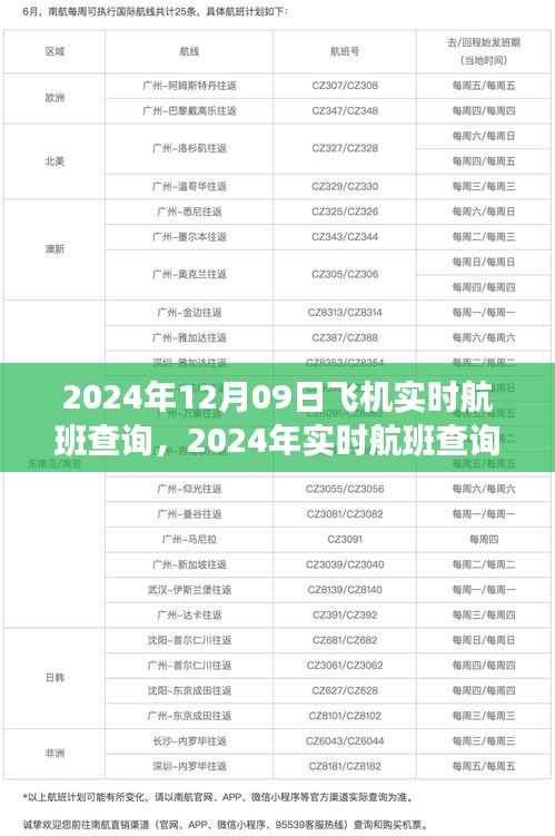 深度解析航班查询系统,实时航班查询的发展与便利