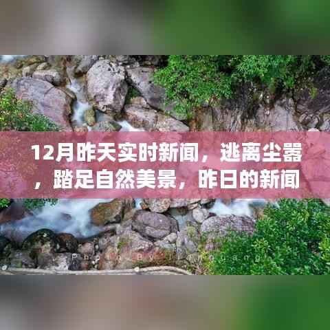 昨日新闻与今日心灵之旅，逃离尘嚣，踏足自然美景的奇妙之旅