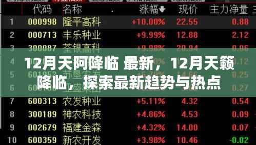 12月天籁降临，最新趋势与热点探索