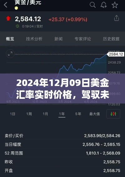 驾驭未来财富,揭秘2024年美金汇率实时价格,洞悉汇率波动中的财富机遇