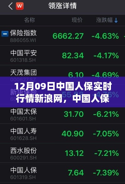 中国人保新浪网实时行情解析,深度洞察特殊日的股市动态