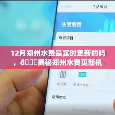 揭秘郑州水费更新机制,12月水费是否实时更新?
