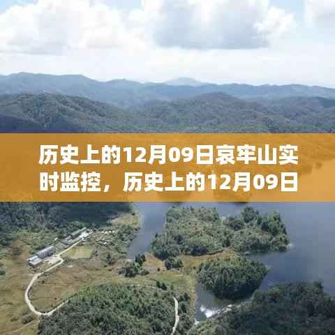 历史上的12月9日哀牢山实时监控，事件回顾与观点解析