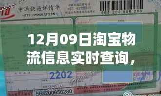 淘宝物流新发现，实时追踪小巷宝藏小店的物流魅力（12月09日实时查询）