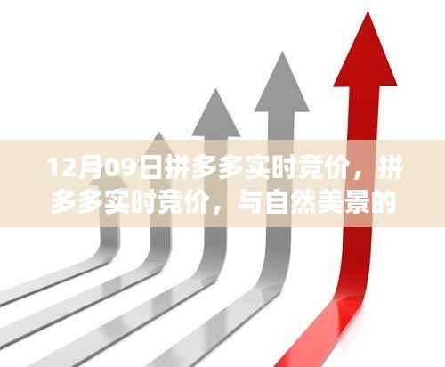 拼多多实时竞价,启程寻找与自然美景的不期而遇的内心宁静之旅