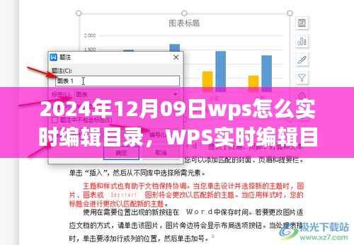 WPS实时编辑目录功能详解,操作指南与观点碰撞——2024年12月09日实战教程