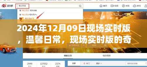 温馨日常与奇遇记,现场实时版2024年12月09日