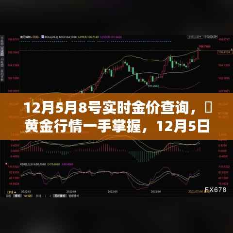 12月5日至8日实时金价查询，深度评测与介绍，掌握黄金行情