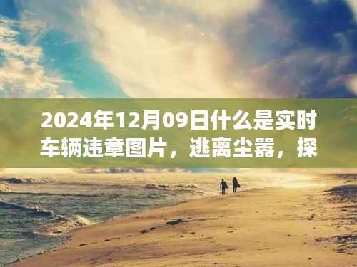 建议，实时车辆违章图片之旅，逃离尘嚣探寻美景