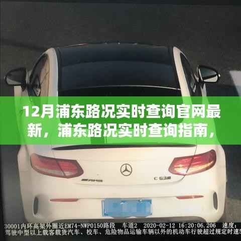 浦东实时路况查询指南,最新路况信息,出行无忧