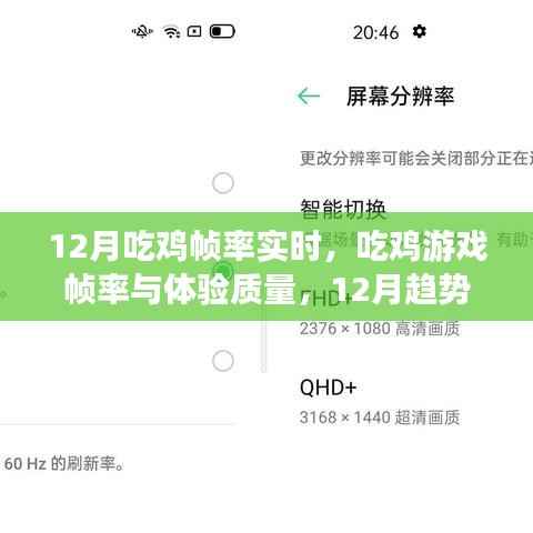 12月吃鸡游戏帧率实时探讨,帧率与体验质量的关系及趋势分析