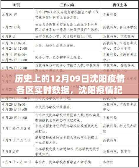 沈阳疫情纪实,十二月九日各区实时数据深度解读与回顾