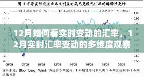 深度解析,12月实时汇率变动的多维度观察与观点碰撞