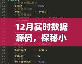 探秘数据源码宝藏，揭秘特色小店与小巷深处的秘密