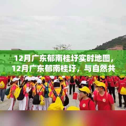 广东郁南桂圩实时地图,与自然共舞的心灵之旅,12月最新导航指南