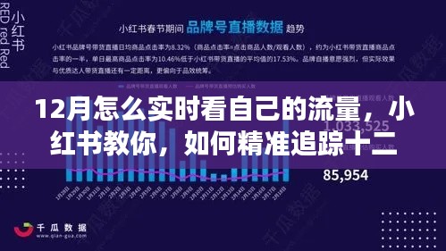 小红书教你如何实时追踪十二月流量动态,洞悉数据变化,精准掌握流量状况!