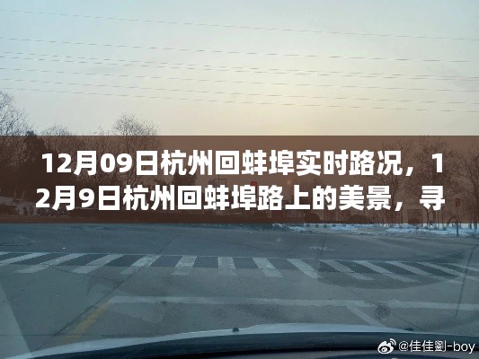 12月9日杭州回蚌埠之旅,实时路况与心灵美景的双重体验