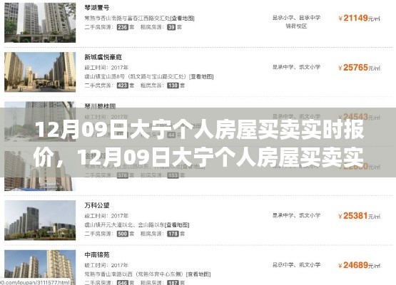 12月09日大宁个人房屋买卖实时报价及操作指南,初学者与进阶用户必看