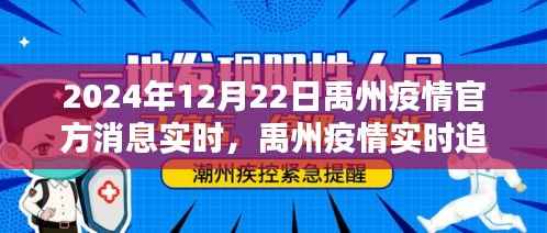 禹州疫情实时追踪,官方消息获取指南与应对步骤(初学者与进阶用户必读)