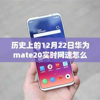 华为Mate 20网速之谜,实时网速开启与日常探索之旅